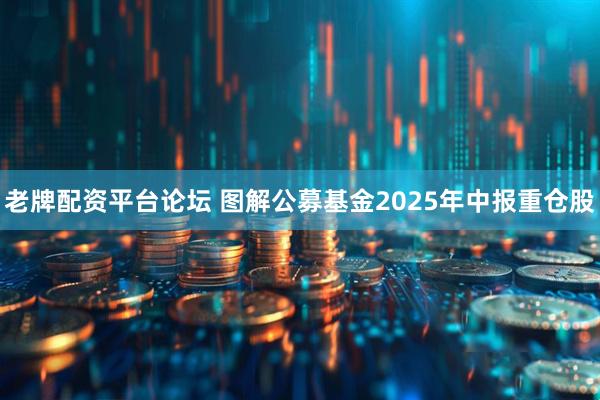 老牌配资平台论坛 图解公募基金2025年中报重仓股