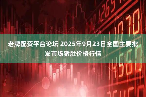 老牌配资平台论坛 2025年9月23日全国主要批发市场猪肚价格行情